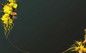 新开复古迷失传奇私服