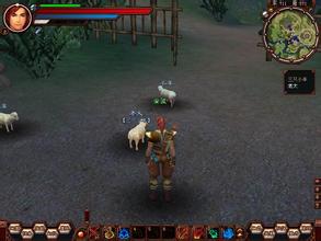 传奇天之道1到50坐标