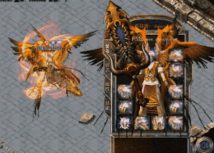 �������ι�����pk����