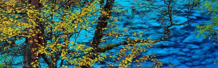 热血传奇手游战士